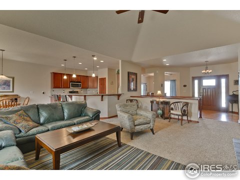 1704 Yampa River Dr, Windsor, CO 80550