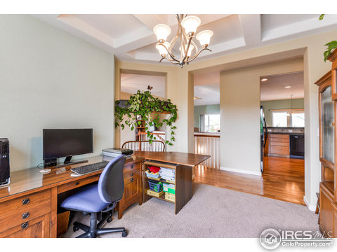 1768 Green River Dr, Windsor, CO 80550