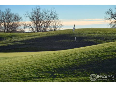 350 Seahorse Dr, Windsor, CO 80550