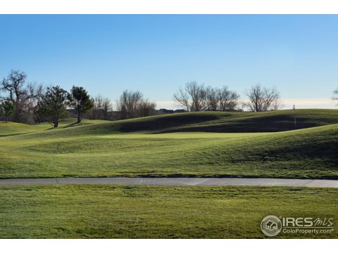 350 Seahorse Dr, Windsor, CO 80550