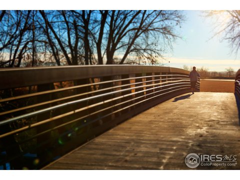350 Seahorse Dr, Windsor, CO 80550