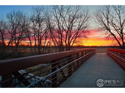 350 Seahorse Dr, Windsor, CO 80550