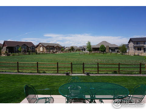 5644 Summerlyn Ct, Windsor, CO 80550