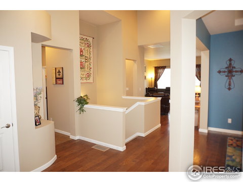 5644 Summerlyn Ct, Windsor, CO 80550