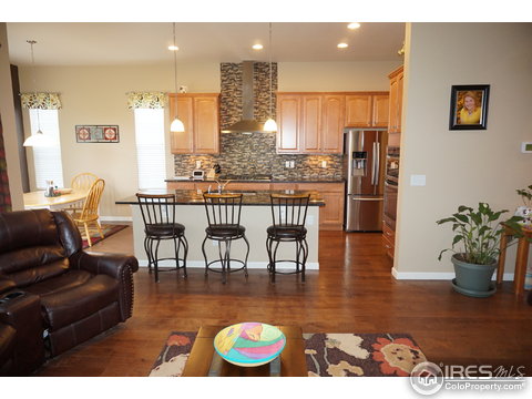 5644 Summerlyn Ct, Windsor, CO 80550