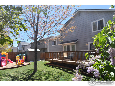 13934 Jackson St, Thornton, CO 80602