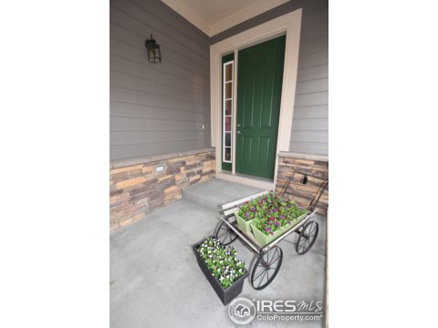 4256 E 139th Dr, Thornton, CO 80602