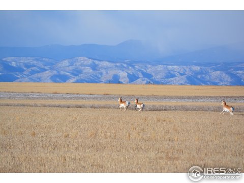 0 County Road 112, Carr, CO 80612