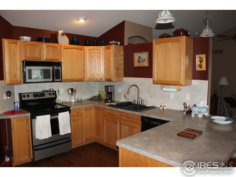 1336 Park Ridge Ct, Severance, CO 80615