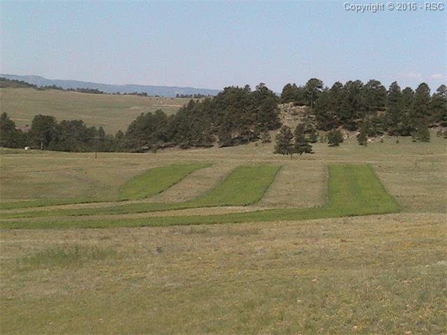 11245 E Palmer Divide Avenue, Larkspur, CO 80811