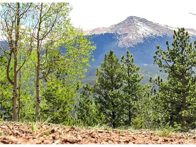 704 Woodrock Way, Divide, CO 80814