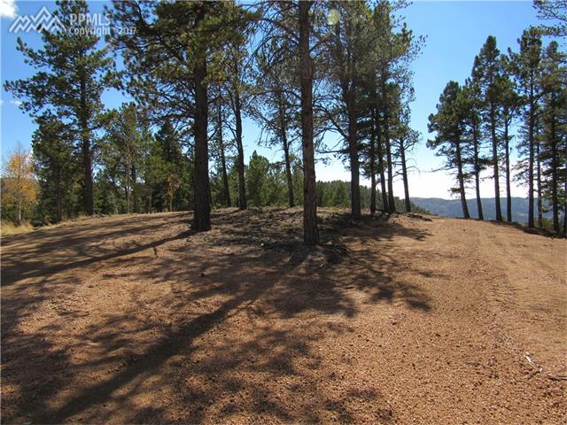 704 Woodrock Way, Divide, CO 80814