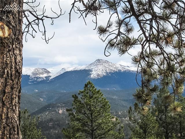 704 Woodrock Way, Divide, CO 80814