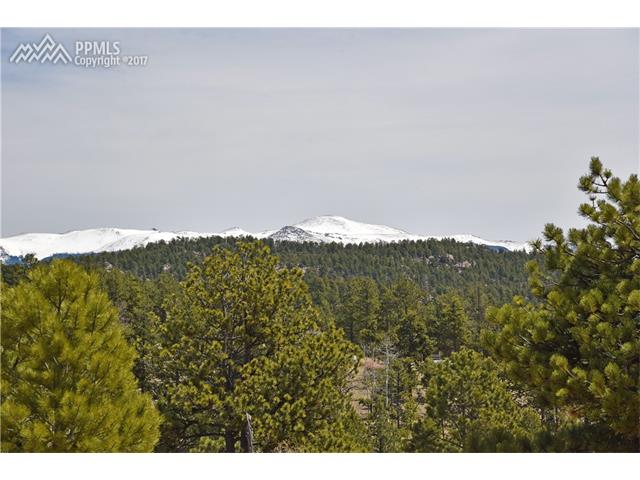 569 Irwin Drive, Florissant, CO 80816