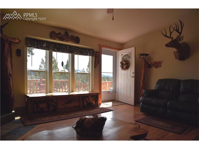 569 Irwin Drive, Florissant, CO 80816