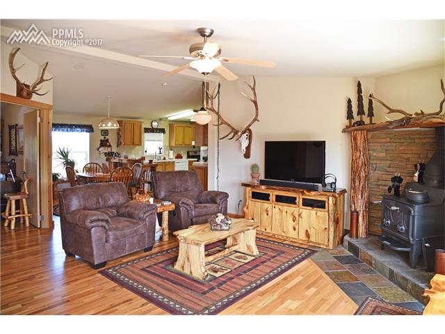 569 Irwin Drive, Florissant, CO 80816