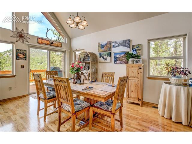 595 Bird Point Road, Florissant, CO 80816