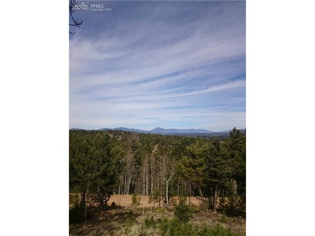 128 Wahsatch Road, Florissant, CO 80816