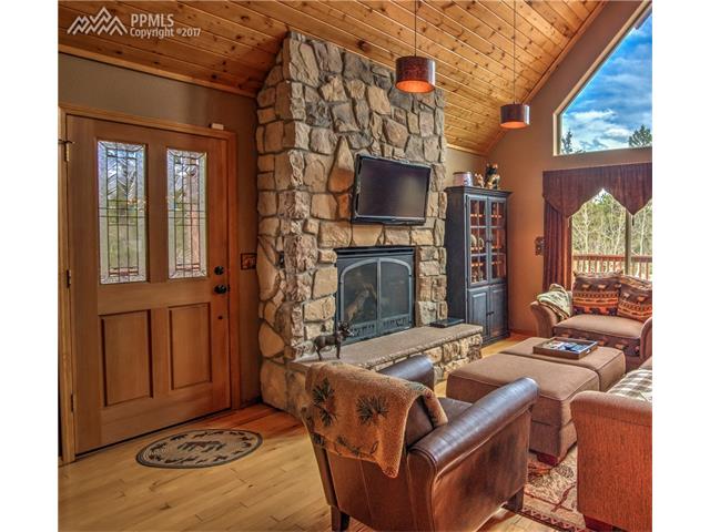 2874 Pathfinder Road, Florissant, CO 80816