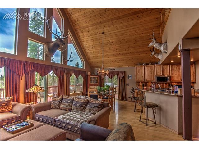 2874 Pathfinder Road, Florissant, CO 80816