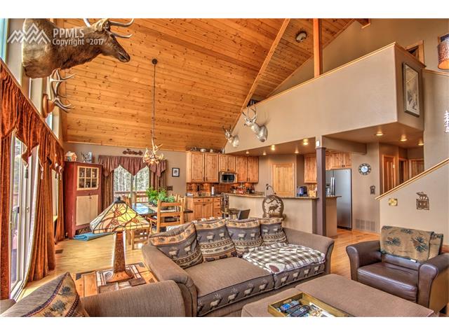 2874 Pathfinder Road, Florissant, CO 80816