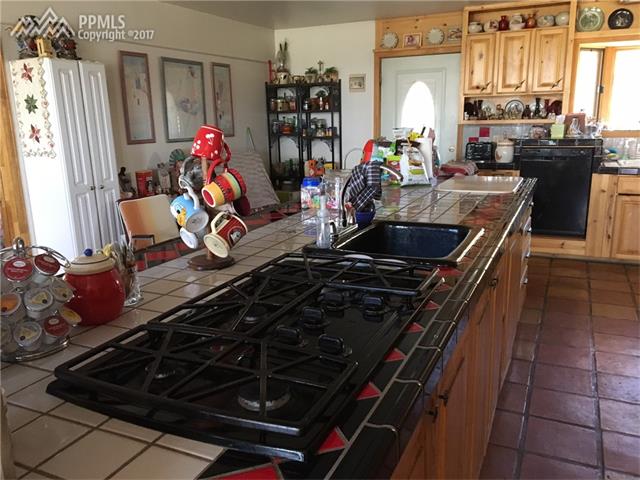 790 TIARA Road, Lake George, CO 80827