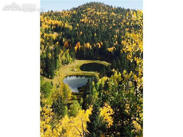County Road, Victor, CO 80860