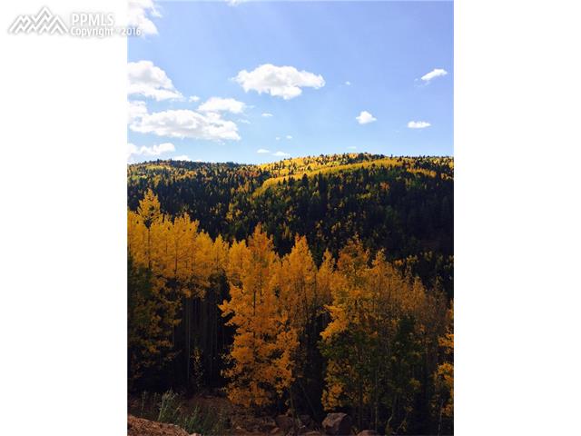 County Road, Victor, CO 80860