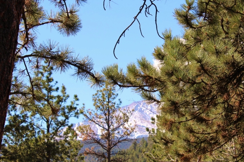 120 Sun Valley Dr., Woodland Park, CO 80863