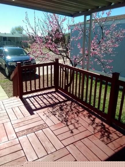 The Springs 1095 Western Drive 570JColorado Springs, CO 80915
