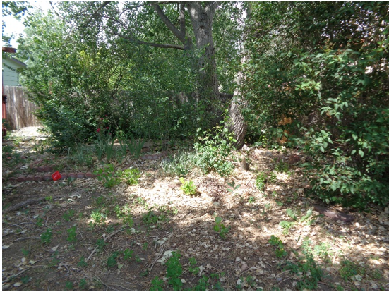6030 Sailing CtColorado Springs, CO, 80918El Paso County