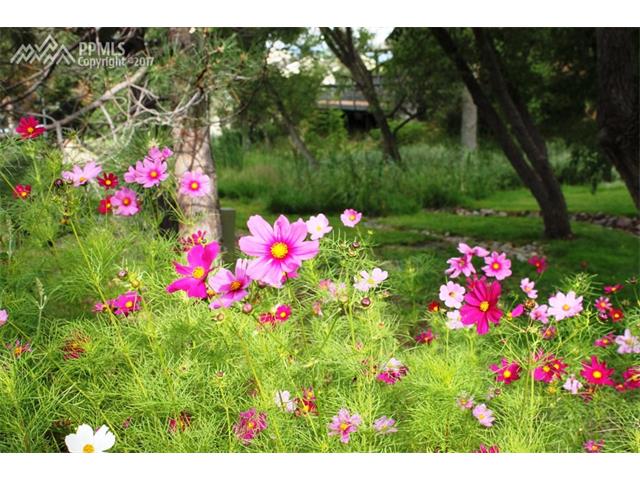 14640 LaTrobe Drive, Colorado Springs, CO 80921