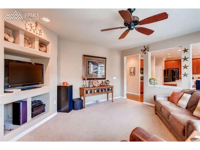 13867 Antelope Pass Place, Colorado Springs, CO 80921