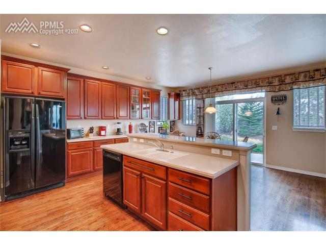 13867 Antelope Pass Place, Colorado Springs, CO 80921