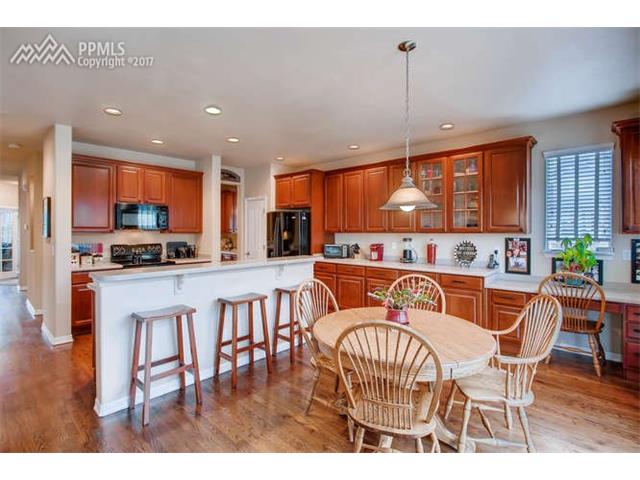 13867 Antelope Pass Place, Colorado Springs, CO 80921