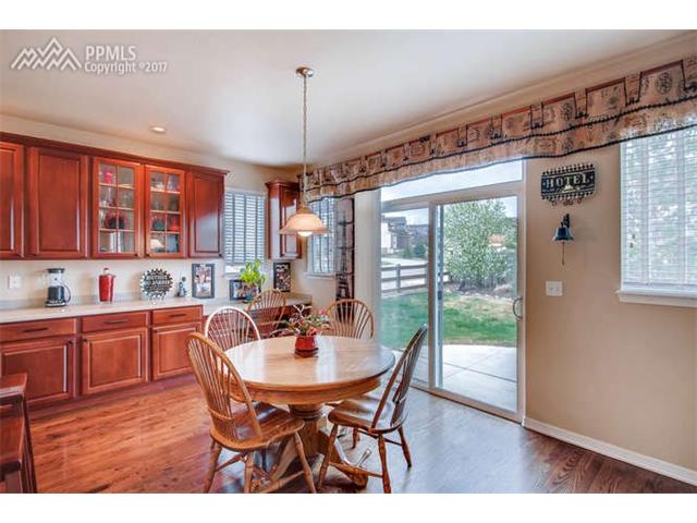 13867 Antelope Pass Place, Colorado Springs, CO 80921