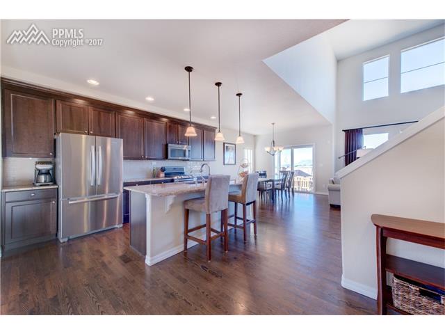 9019 Rollins Pass Court, Colorado Springs, CO 80924