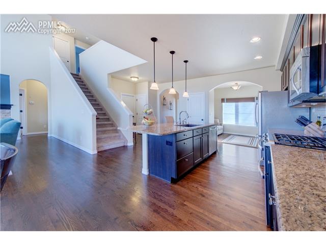 9019 Rollins Pass Court, Colorado Springs, CO 80924