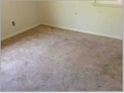 1212 Liberty LnPueblo, CO, 81001Pueblo County