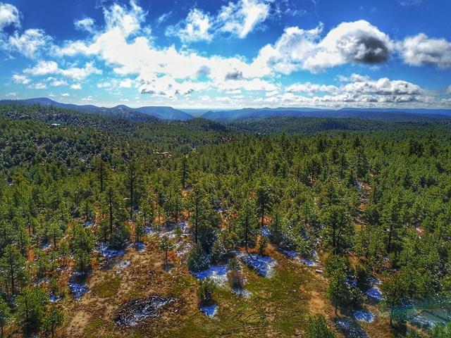 29028 Bear Spur, Aguilar, CO 81020