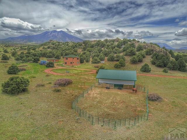 1234 County Rd 520.1, Walsenburg, CO 81089