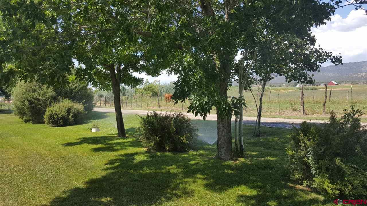 301 Barton Circle, Arboles, CO 81137