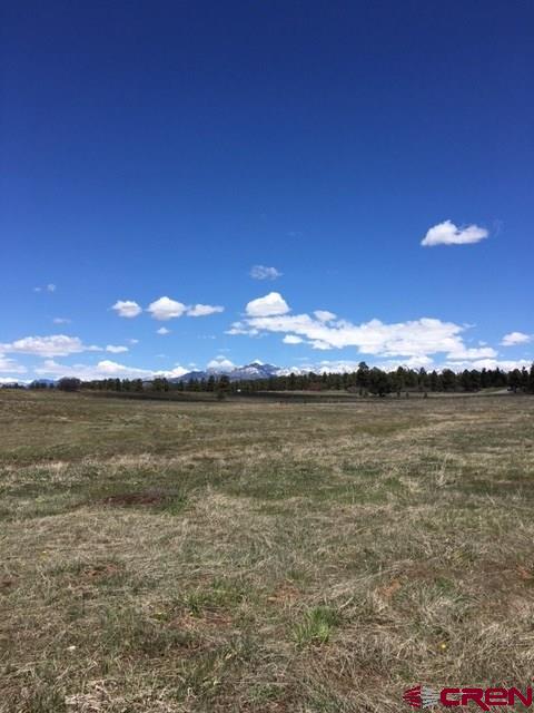 Prospect Boulevard, Pagosa Springs, CO 81147