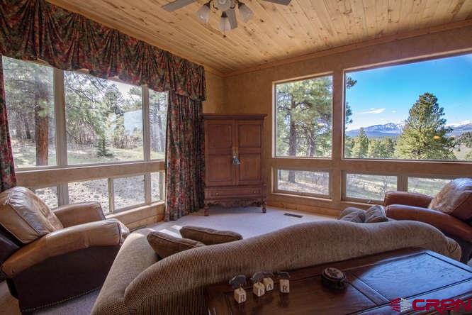 141 Buena Vista Place, Pagosa Springs, CO 81147
