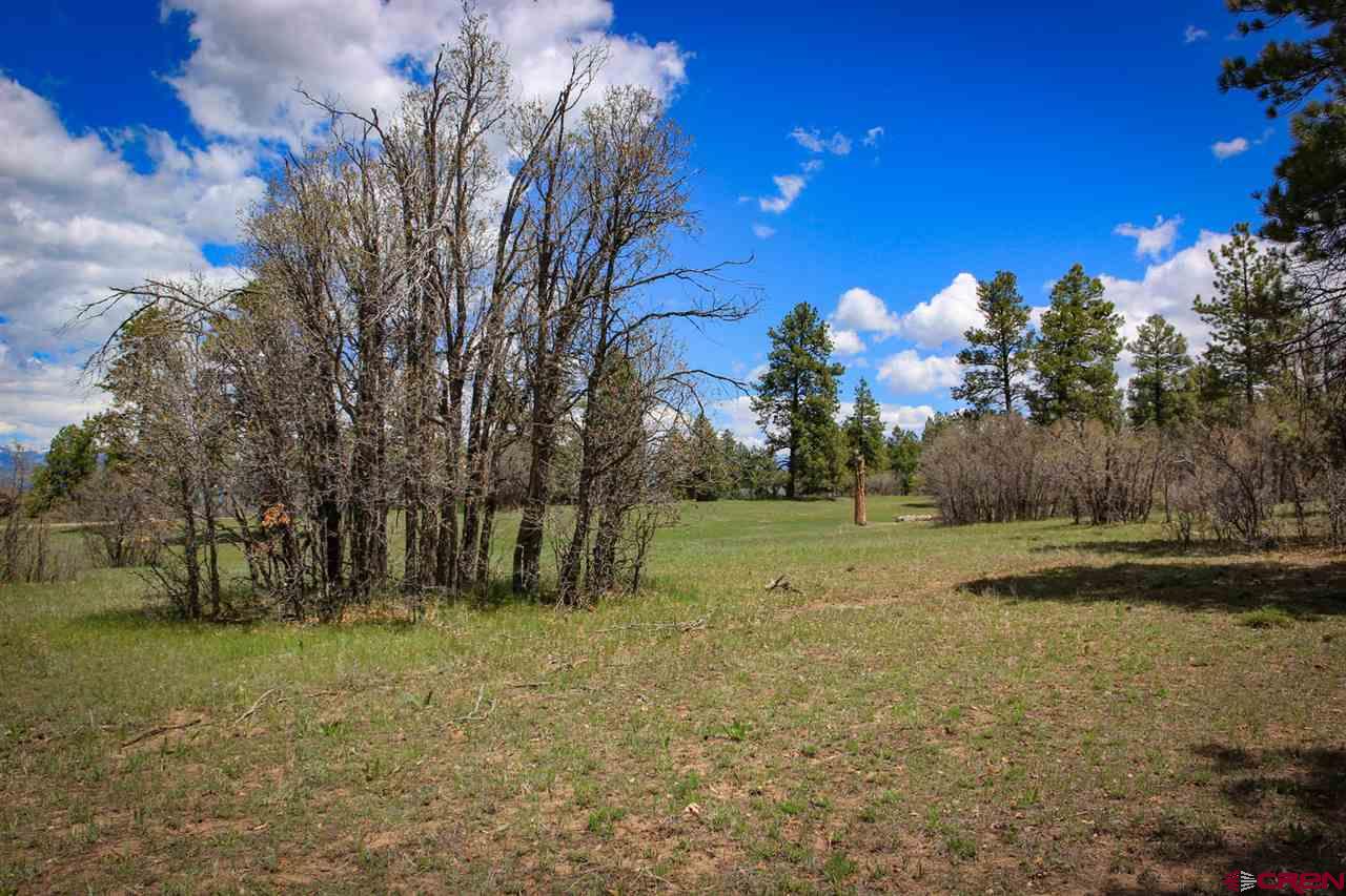 800 Echo Canyon Ranch Lane, Pagosa Springs, CO 81147