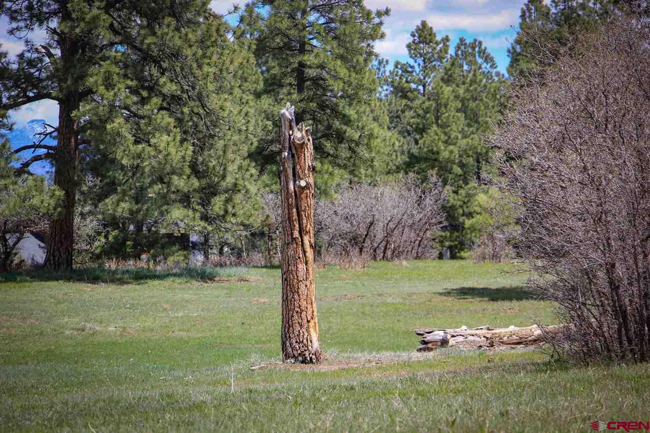 800 Echo Canyon Ranch Lane, Pagosa Springs, CO 81147