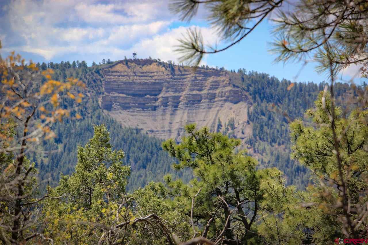 800 Echo Canyon Ranch Lane, Pagosa Springs, CO 81147