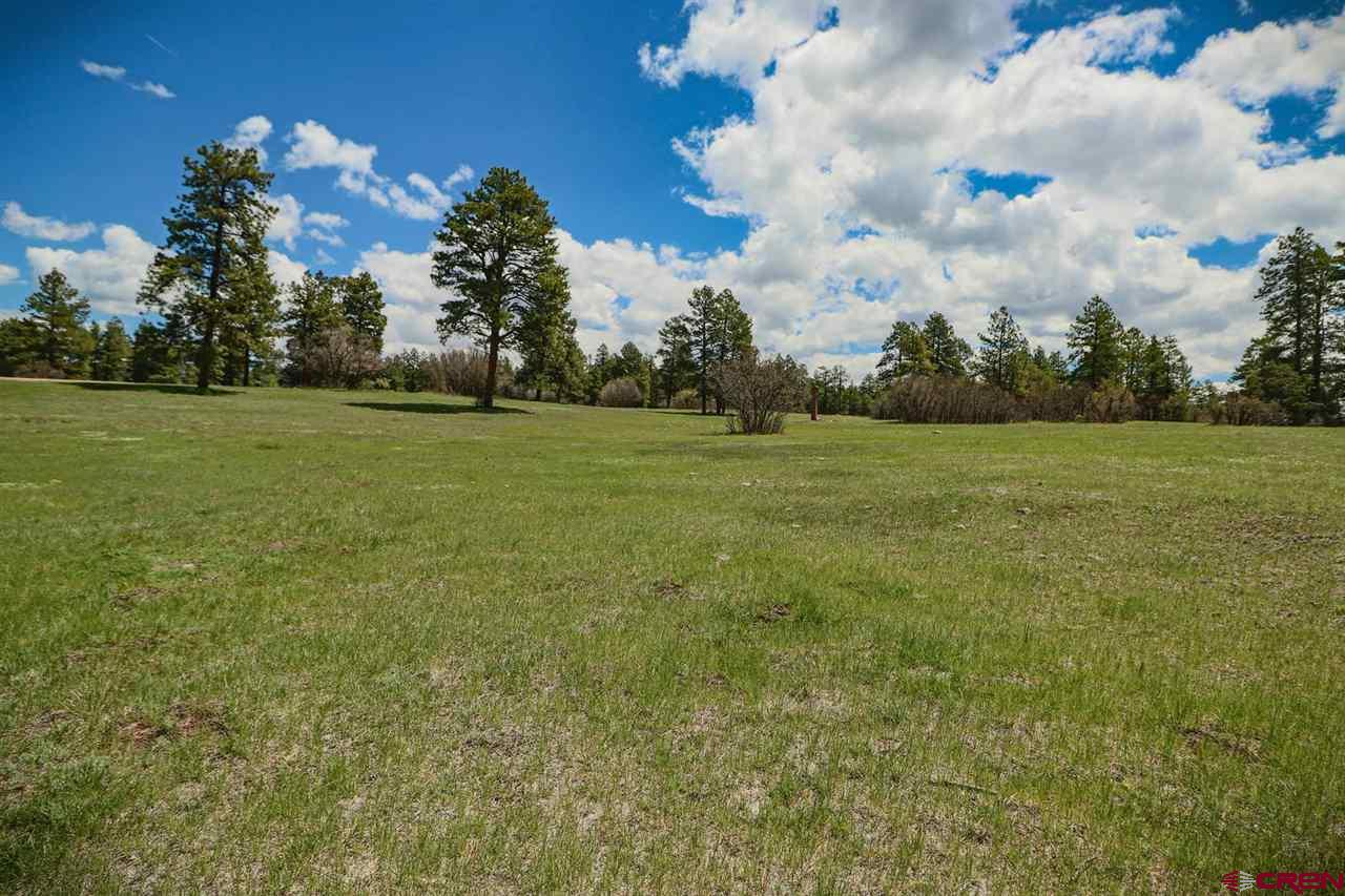 800 Echo Canyon Ranch Lane, Pagosa Springs, CO 81147