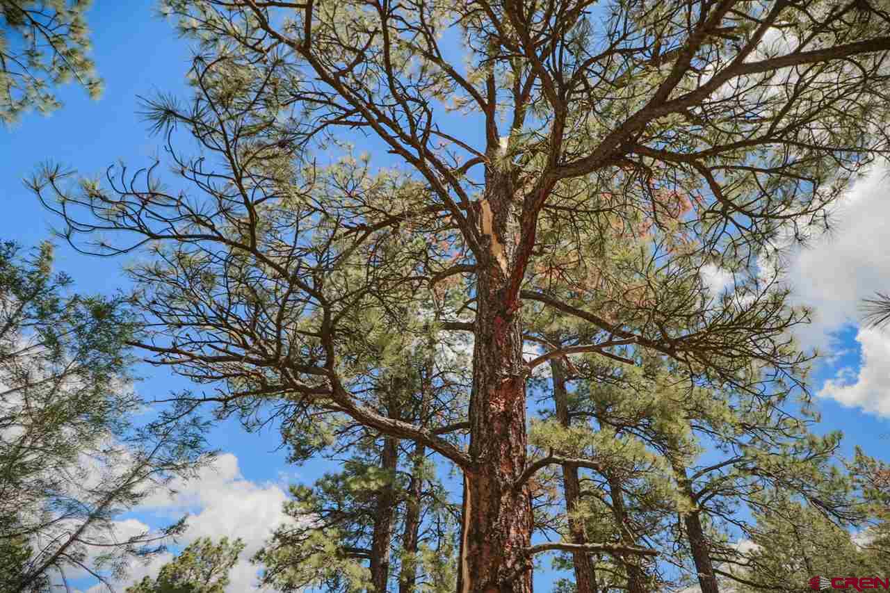 800 Echo Canyon Ranch Lane, Pagosa Springs, CO 81147