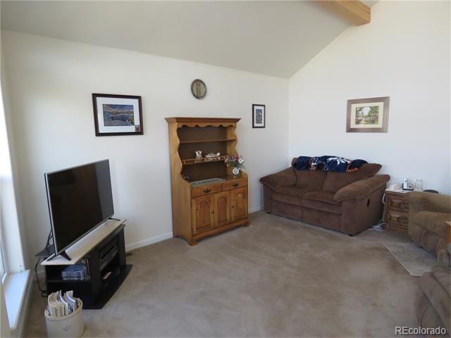 24130 County Road 301A, Buena Vista, CO 81211